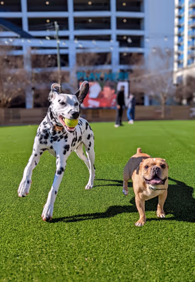 Fetch Park Alpharetta